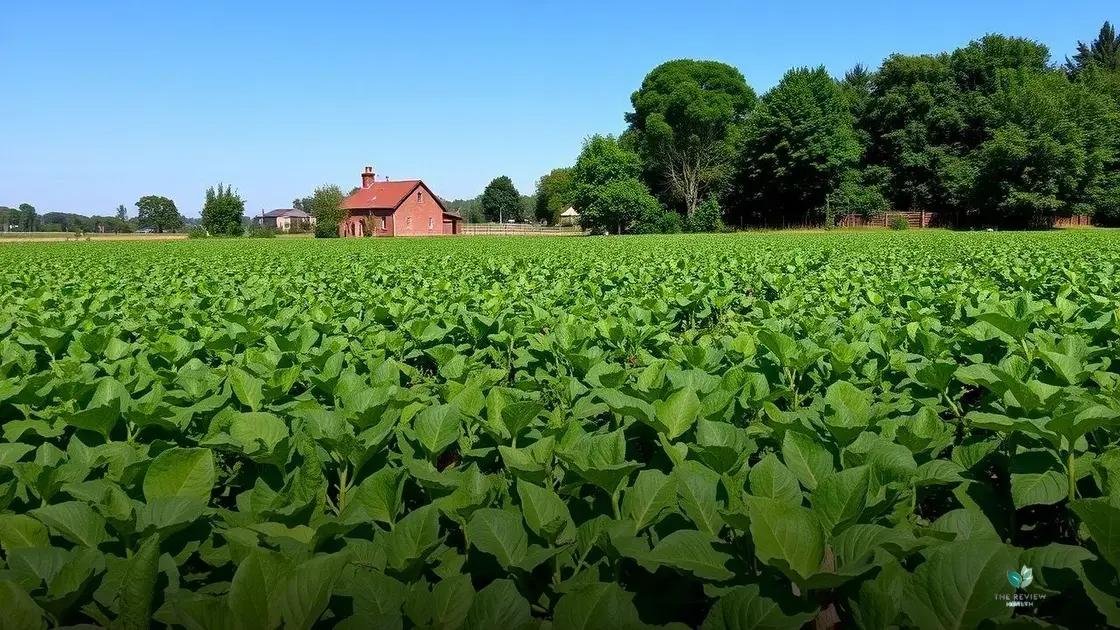 What are sustainable foods and why they matter?